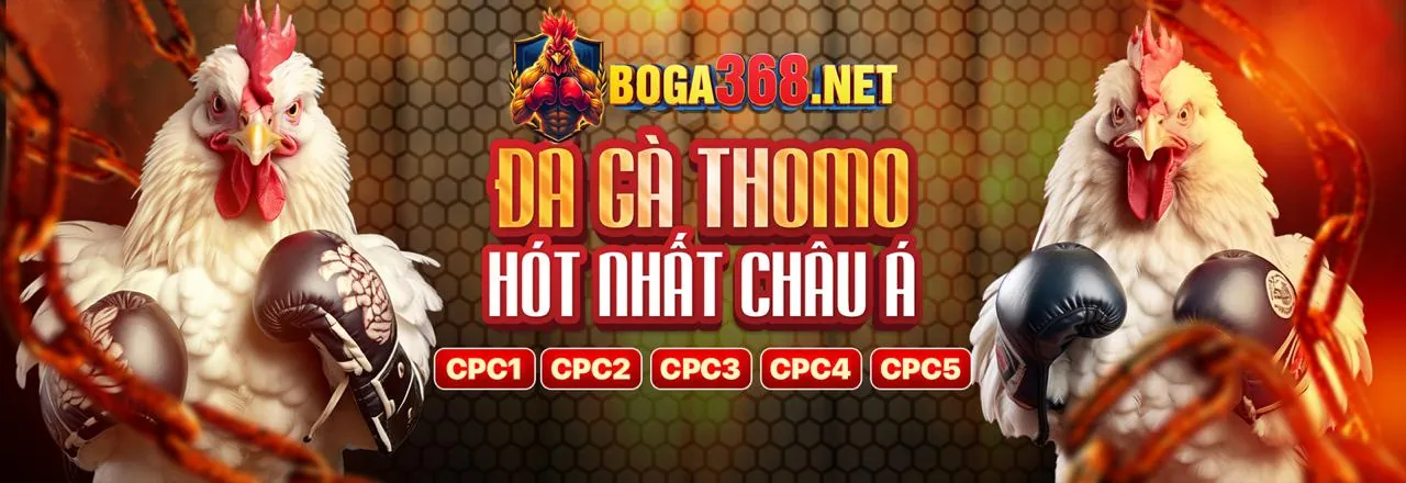Đá gà trực tuyến 88t đăng ký
